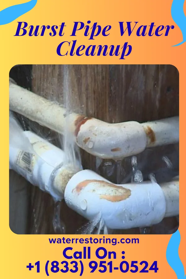 Burst Pipe Water Cleanup in Fallon, NV