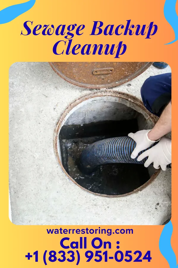 Sewage Backup Cleanup in Fallon, NV
